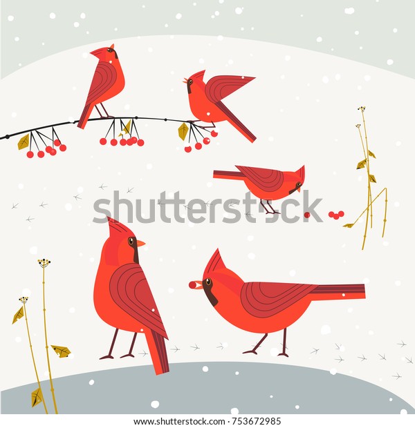 Image Vectorielle De Stock De Oiseaux Du Cardinal Rouge Du