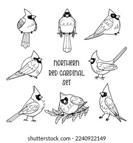 Red Northern cardinals pose outline vector set. Cute Winter bird character black editable line art illustration. Holiday collection