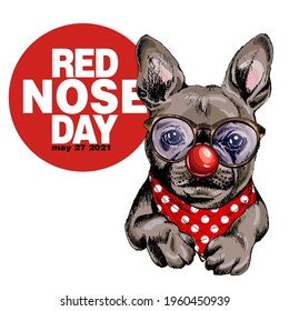 Red nose day poster. Vector hand drawn dog portrait. French bulldog wearing glasses, clown nose and bandana. American red nose day greeting card. Flyer, poster, banner design. Medical event.