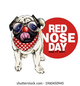 Red nose day poster. Vector hand drawn dog portrait. Pug or bulldog wearing glasses, clown nose and bandana. American red nose day greeting card. Flyer, poster, banner design. Medical event