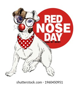Red nose day poster. Vector hand drawn dog portrait. Jack Russel terrier wearing glasses, clown nose and bandana. American red nose day greeting card. Flyer, poster, banner design. Medical event.