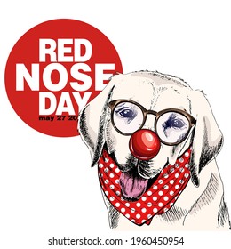 Afiche del día de la nariz roja. Retrato de perro dibujado a mano por vectores. Labrador con gafas, nariz de payaso y bandana. Tarjeta de saludo del día de la nariz roja estadounidense. Volante, afiche, diseño de pancartas. Evento médico.