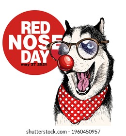 Red nose day poster. Vector hand drawn dog portrait. Siberian husky wearing glasses, clown nose and bandana. American red nose day greeting card. Flyer, poster, banner design. Medical event.