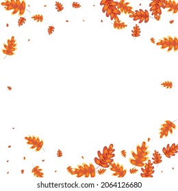 Red Oak Background White Vector. Plant Forest Frame. Golden Leaf. Pattern Texture. Gold Acorn Decorative.