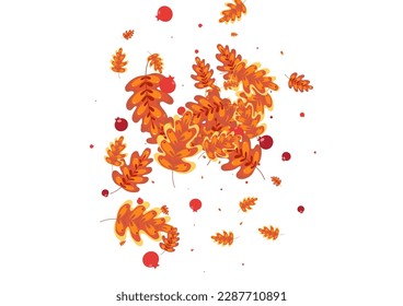 Red Oak Background White Vector. Leaves Agriculture Texture. Orange Acorn. Decoration Set. Gold Leaf September.