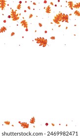 Red Oak Background White Vector. Leaves Pattern Design. Golden Leaf. Modern Texture. Yellow Acorn Border.