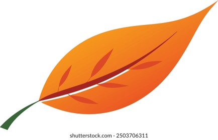 Red oak leaf. Vector illustration, 