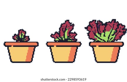 Red oak vegetable plant game pixel art vector.