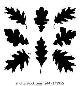 Red oak and white oak tree leaf silhouettes, vector illustration isolated on white background.