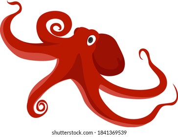 Red octopus, illustration, vector on white background
