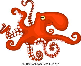 Red octopus isolated on white background