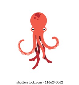 Red octopus isolated vector illustration on white background. Cute octopus vector. Marine life and animals concept. Cute sea monster, underwater predator