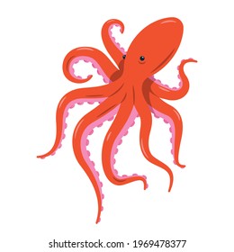 Red octopus isolated vector illustration on white background. Marine life and animals concept. Cute sea monster, underwater predator.