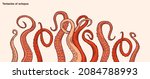 Red octopus tentacles reaching upwards, squid-like marine animal body parts protruding from out of frame, cut for food or frame design, cartoon sketch vector illustration. 