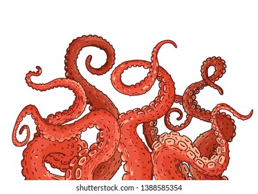 Red octopus tentacles reaching upwards, squid like marine animal body parts protruding from out of frame, cut for food or frame design, cartoon sketch vector illustration isolated on white background