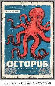 Red octopus, underwater animal. Vector animal with tentacles, sea monster and evil kraken. Ocean mollusk with red body, eight feet predatory and seaweeds, fishery seafood