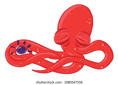 red octopus vector illustration