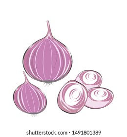 Red Onion bulb and slices, Thai food seasoning, herbs, vegetable illustration on white background