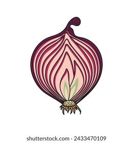 Cebolla roja en el corte. Anillos de cebolla. Ilustración vectorial para una receta y libro de cocina. Verduras para comidas vegetarianas. Cultivando verduras.