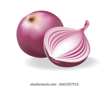 Cebola Vermelha com corte de seção mostrando camadas, ilustração vetorial.