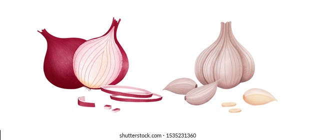 Red onion of cut and whole. Fresh organic garlic and onion isolated on white background. Vector illustration