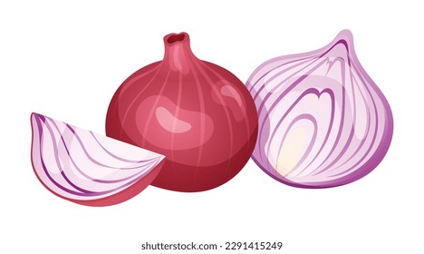 Red onion of cut and whole vector illustration isolated on white background