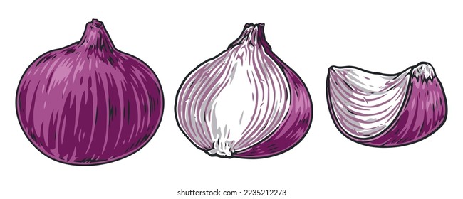 Red onion emblems colorful set isolated ripe vegetable whole or cut in half and quarter healthy food concept vector illustration