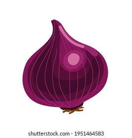 Red onion. Fresh cartoon vegetable. Vector hand-drawn illustration, isolated on white background. 