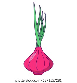 Red onion. Fresh cartoon vegetable.Illustration used for magazine menu cover.Unpeeled red onion bulb with green sprout. Healthy root vegetable food.Isolated on white background.