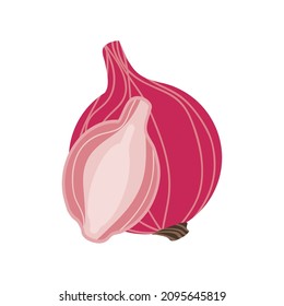 red onion fresh vegetable icon