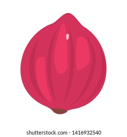red onion fresh vegetables icon vector ilustrate