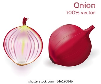 Red onion and half onion isolated on white background. Vector illustration.