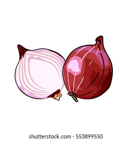 Red onion, half onion isolated on white background. Vector illustration hand drawn style