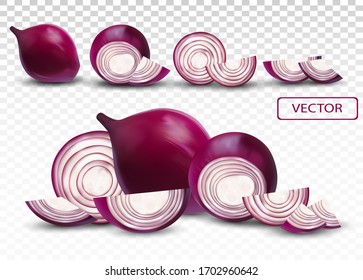 Red onion. Half, piece onion on transparent background. 3d realistic onion. Vector illustration.