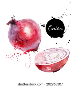 Red onion. Hand drawn watercolor painting on white background. Vector illustration