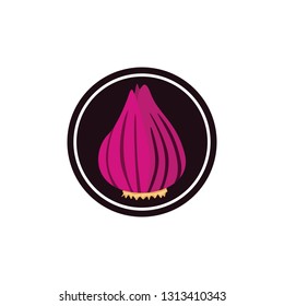 Red Onion icon vector image