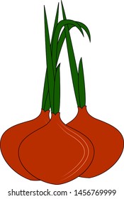 Red onion, illustration, vector on white background
