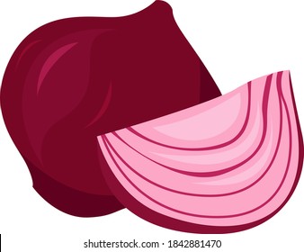 Red onion, illustration, vector on white background