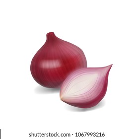 Red onion isolated on white background. Vector illustration. 3d realistic game icon.