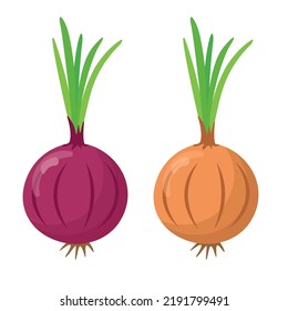 Cebolla roja y cebolla aisladas en fondo blanco. Diferencia entre cebolla roja y cebolla. estilo plano