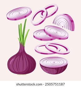 Red onion isolated on white background. Whole root onion and half, slices. Vector vegetables illustration in flat style.