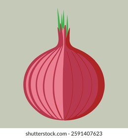 red onion isolated on white, onions vector illustration	