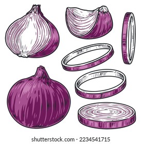 Red onion logotypes colorful set fresh vegetable food with bitter taste whole and sliced for cooking delicious dishes vector illustration