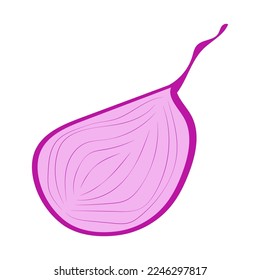 Red red onion on white background. Vector illustration design. Isolated vector illustration.