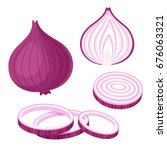 Red onion set. Cut in half, slice and onion rings. Isolated vector illustration.