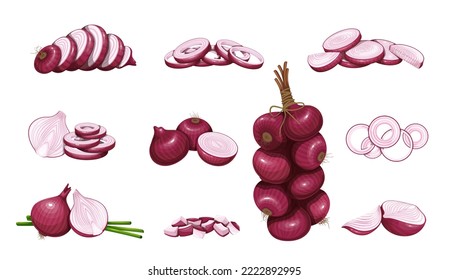 Rote Zwiebelset, Vektorgrafik. Cartoon einzeln auf Zwiebeln mit Blättern, halbiert, kreisförmige Scheiben, Schnitte und geschnittene Stücke zum Kochen, Hängesteg aus violettem Rohholz auf Schale