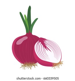 Red onion with slice flat design, Red onion isolated on white background. vector illustration.