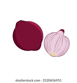 red onion with slice illustration vector, good for food ingredient