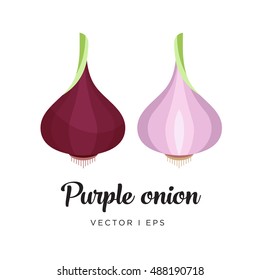 Red onion vector editable illustration. Half of red onion, simple flat style.