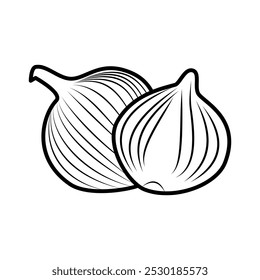 red onion vector illustration design